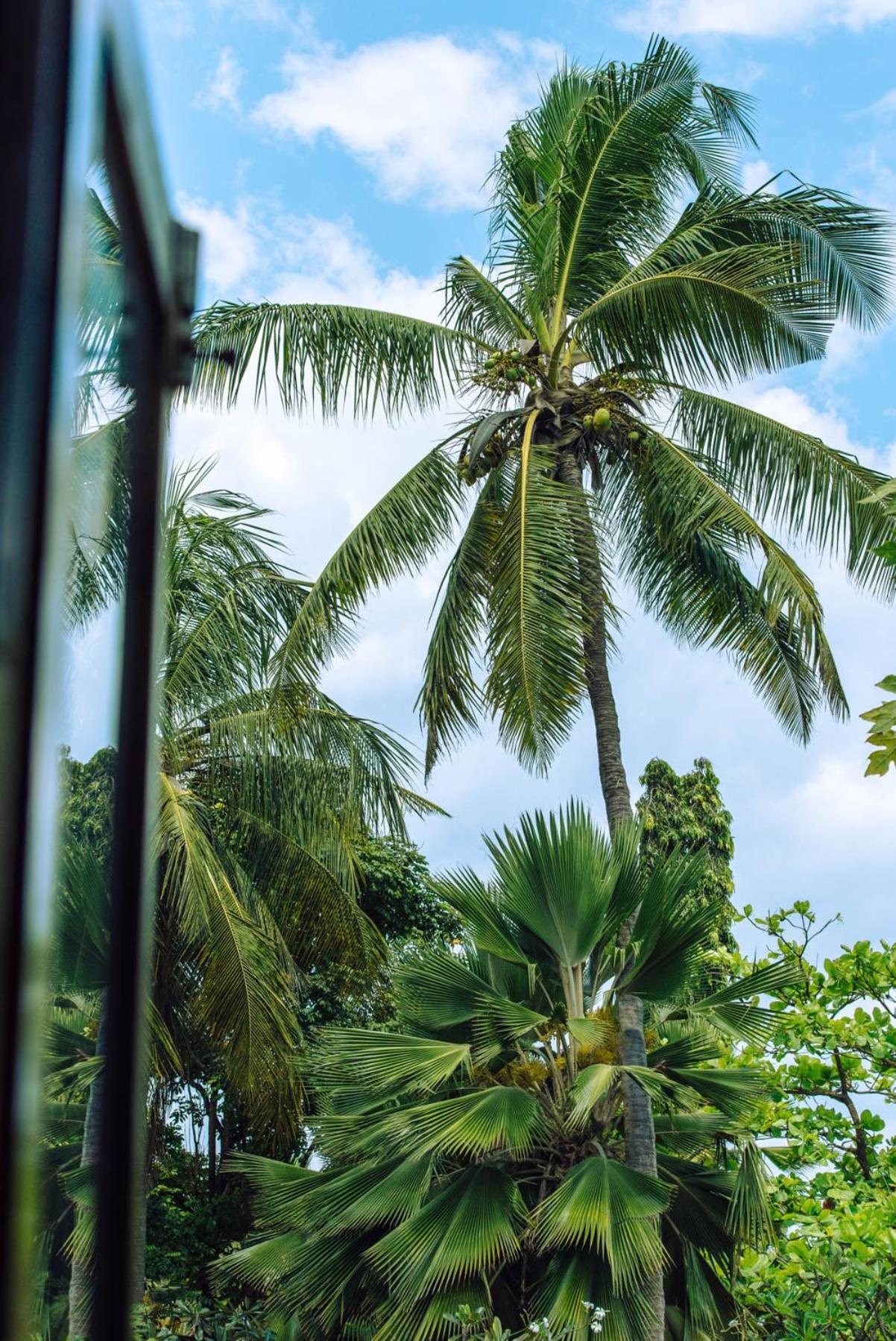 Zanzibar Retreat Hotel มาเทมวu ภายนอก รูปภาพ